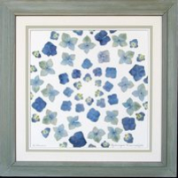 flatflowerbotanicals003003.jpg
