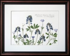 flatflowerbotanicals003004.jpg