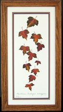 flatflowerbotanicals003006.jpg