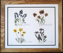 flatflowerbotanicals004002.jpg