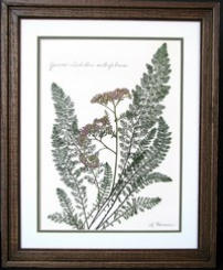 flatflowerbotanicals004004.jpg