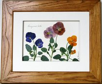 flatflowerbotanicals005002.jpg