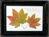 flatflowerbotanicals005004.jpg