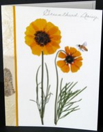 flatflowerbotanicals009017.jpg